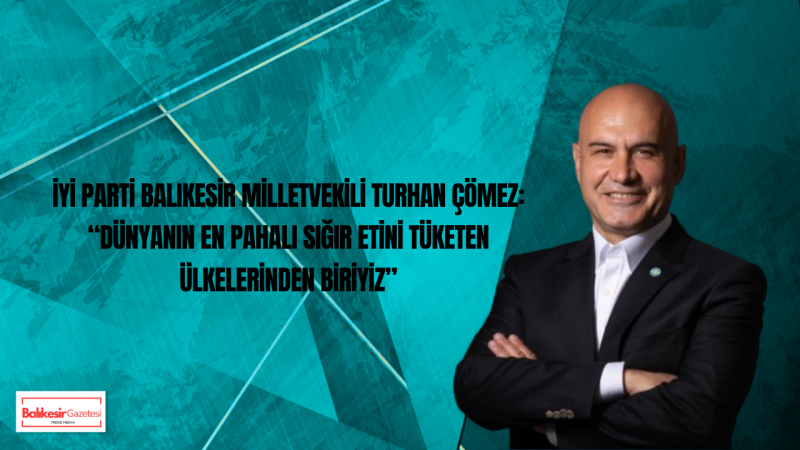 Bandırma Limanı’nda Hayvan Sevkiyatı Gündemde