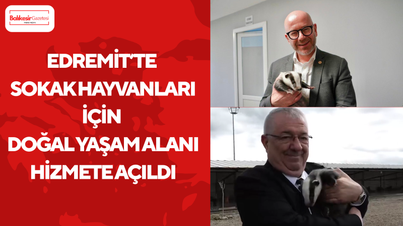 Edremit’te Sokak Hayvanları İçin Doğal Yaşam Alanı Açıldı