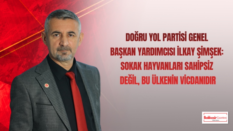 İlkay Şimşek: Sokak Hayvanları Sahipsiz Değil Bu Ülkenin Vicdanıdır