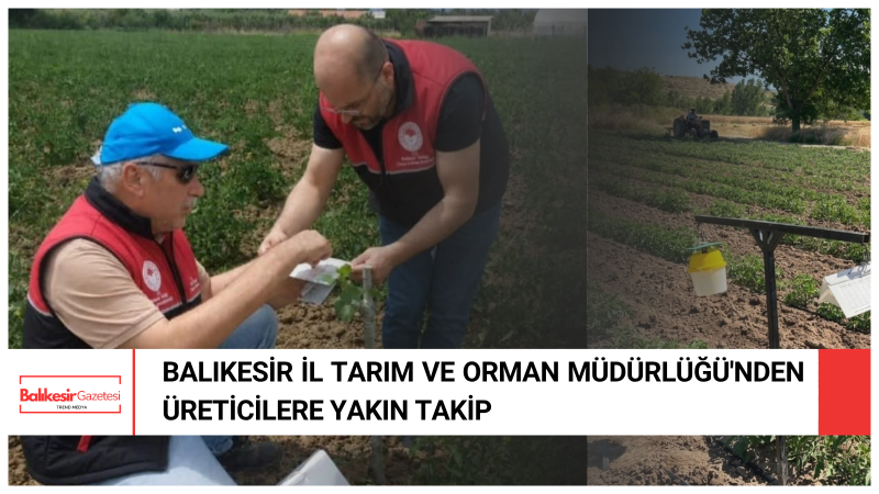 Balıkesir'de Bitkisel Üretim Saha Çalışmaları Sürüyor