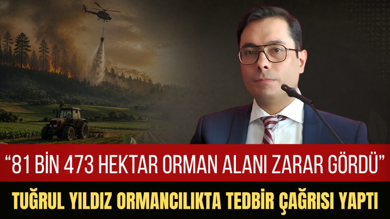Tuğrul Yıldız: 